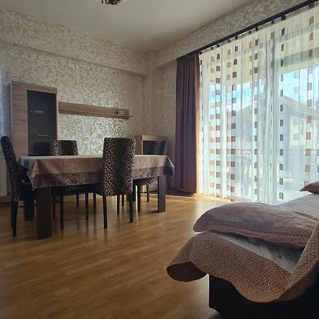 Perfect Stay -Free Underground Parking Place, Free Late Check-Out Sibiu Exteriör bild